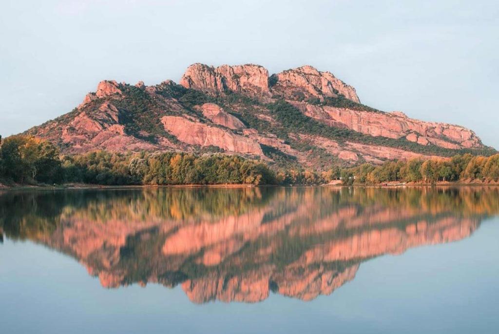 La Bastide Saint Pierre T2 - Jardin Lejlighed Roquebrune-sur-Argens Eksteriør billede